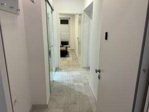 Stunning 3-Room Penthouse Lakeview with Terrace