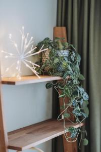 Neringarent STUDIO-APARTAMENTAI