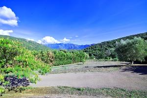 Maisons de vacances Orasi, Sartene, gite dans villa climatisee tout confort : photos des chambres