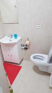 Apartament 2 Budiu