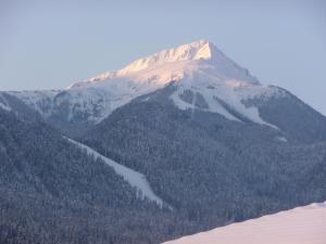 Finest Luxury Penthouse Bansko Royal Towers