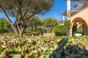 ISS Travel, L'Uddastru Panoramic Apartments - with private outdoor terrace img5