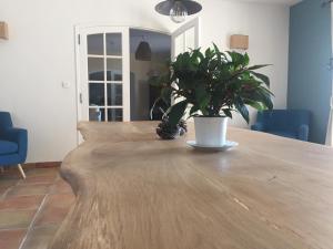 Villas bastide derroc : photos des chambres
