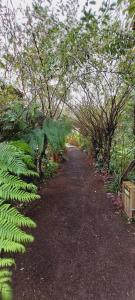 Sete Cidades Lake Lodge
