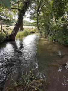 Maisons de vacances Moulin des Pres - Gite 15 places au bord de l'eau : photos des chambres