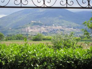 La Strada Di Francesco DAssisi