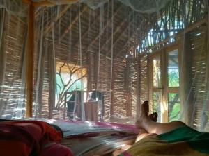 The Alpha Monkey hotel & Tree house