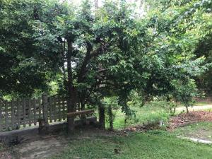 Eco Willow - Kathaluwa