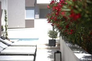 JOY 2 apartment 