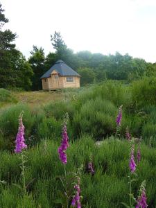 Maisons d'hotes La Bergerie du Plateau : Cabane Kota Finlandais