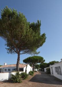 Maisons de vacances Le Parc des Mimosas : photos des chambres