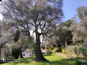 Maisons de vacances Pool House Renoir with private garden : photos des chambres