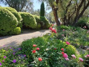 Maisons de vacances Pool House Renoir with private garden : photos des chambres