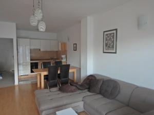 Apartment in Povlja with sea view, terrace, air conditioning, WiFi 3419-1