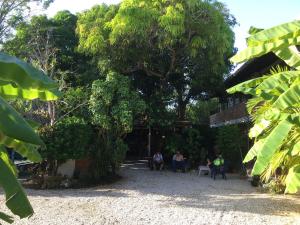 Hotel Pizzeria Opera Tolú