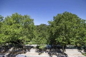 Appartements luxury Paris La Vie En Rose jacuzzi terrasse Parking : photos des chambres