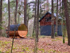 Domek z SAUNĄ na leśnej działce w Wildze