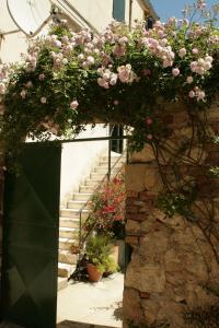 Lovely apartment in old part of Vis