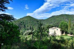 Maisons d'hotes Les Jardins de Falguiere : photos des chambres