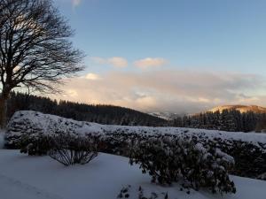 Ferienwohnung Lenneplätze