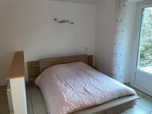 Studio 4 couchages avec terrasse proximité du lac - Cogna