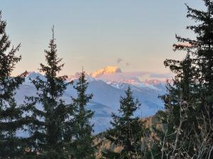 The little refuge of La Plagne (French Alps)