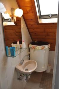 Apartments in Siofok - Balaton 41943