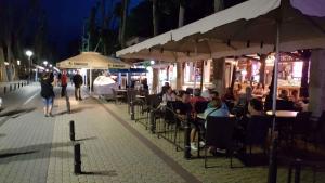 Apartments in Siofok - Balaton 41943