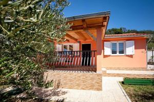 House Olive tree 