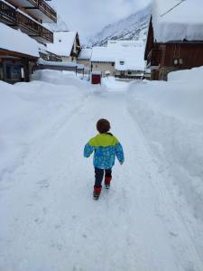 Appartements La Belledone a Vaujany : photos des chambres