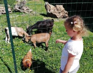 Maisons de vacances SCI le Bocage : photos des chambres