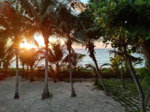 Pieds Dans L’Eau Holiday Apartments