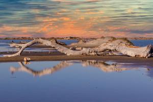 Maisons de vacances Le Cabanon de Virginie : photos des chambres