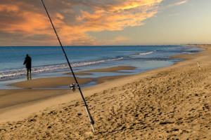 Maisons de vacances Le Cabanon de Virginie : photos des chambres