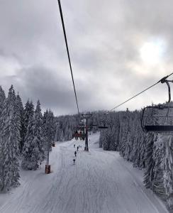 Milmari Future Gold Apartmani Kopaonik