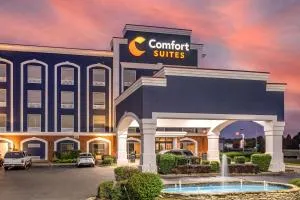 Comfort Suites Olive Branch - Memphis South - Byhalia