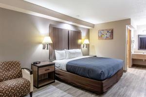 Business King Room  - Non-Smoking room in Econo Lodge Kingsville
