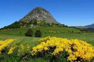Maisons de vacances Les Templiers : Maison 3 Chambres
