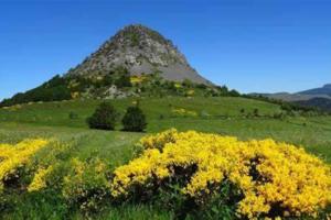 Maisons de vacances Les Templiers : photos des chambres