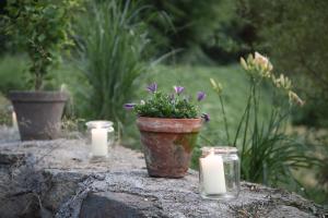 Appartements Adam-Mühle