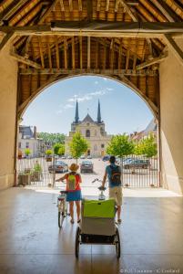 Appartements Gite le Petit Puits a Richelieu : photos des chambres