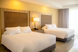 Hotel Campestre las Camelias