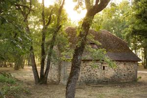 Villages vacances Le Bois de Faral : photos des chambres