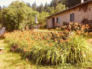 Maisons d'hotes Le Grand Dehors 01 : photos des chambres