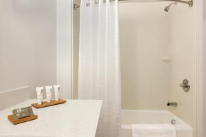 One-Bedroom King Suite - Non-Smoking room in Country Inn & Suites by Radisson DFW Airport South TX