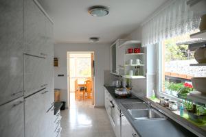 Apartma Metka Leše Tržič