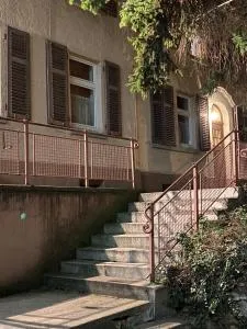 Altbauwohnung Stuttgart Ost - Berg