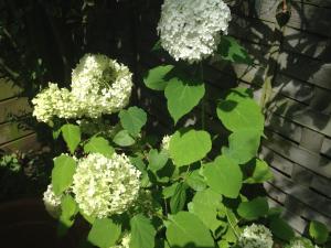 Bed & Breakfast Maria