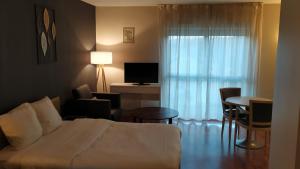 Appart'hotels Residence Carouge Appart Hotel : photos des chambres