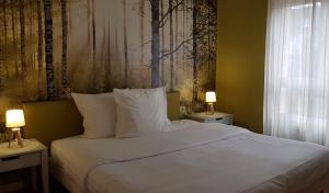 Appart'hotels Residence Carouge Appart Hotel : photos des chambres